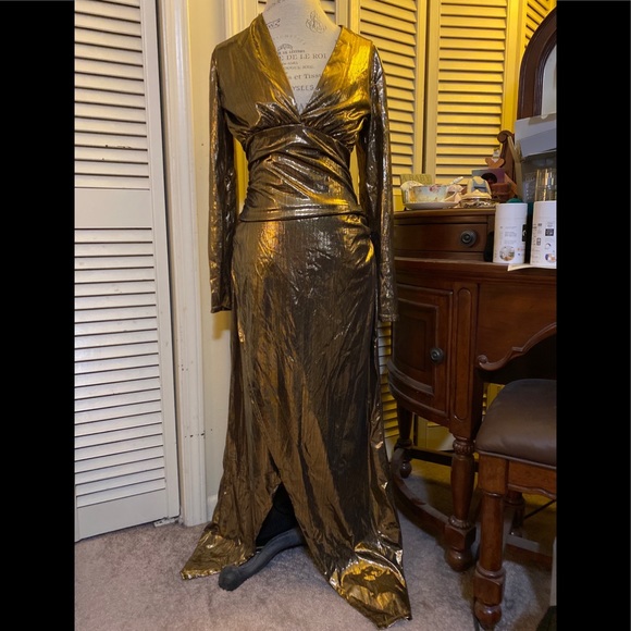 Gold Costume Dress - Picture 4 of 6